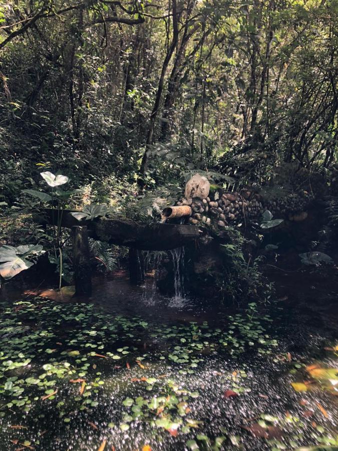 Sitio Porta Das Aguas Hotel Caxambu Bagian luar foto